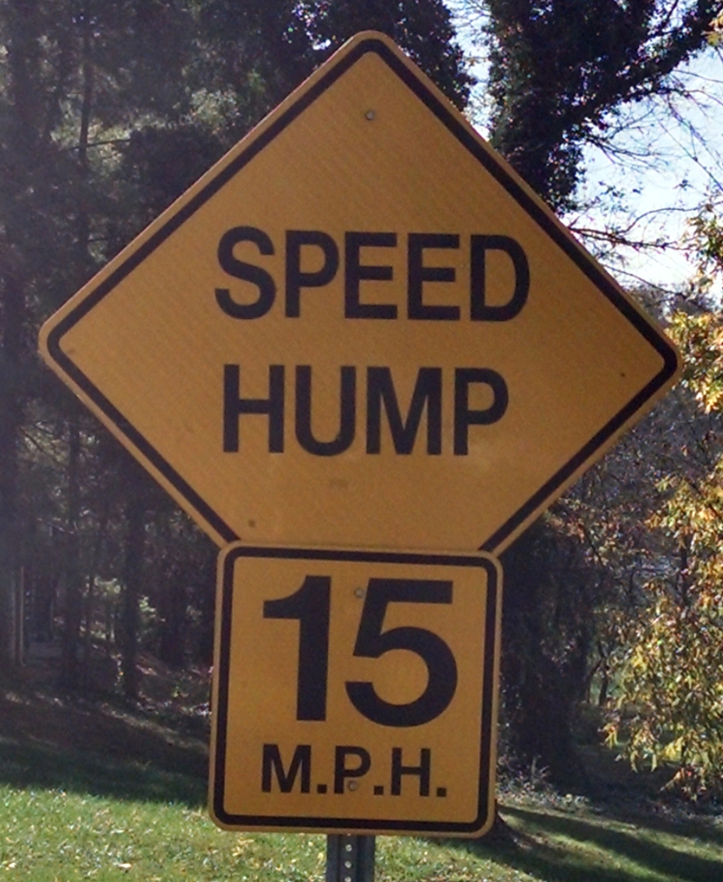 Speed Hump.jpg