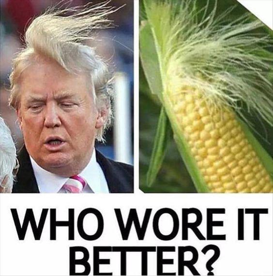 Corn.jpg