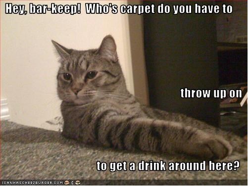 Cats throw up on carpet.jpg