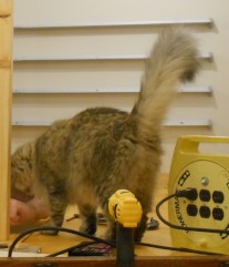 Benchwork_108_ (2).JPG