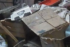 44493542012_d2010bc769_b (2).jpg