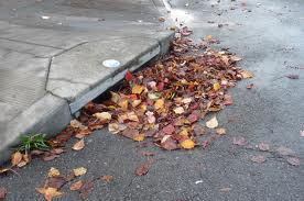 Sidewalk_gutter_03.png