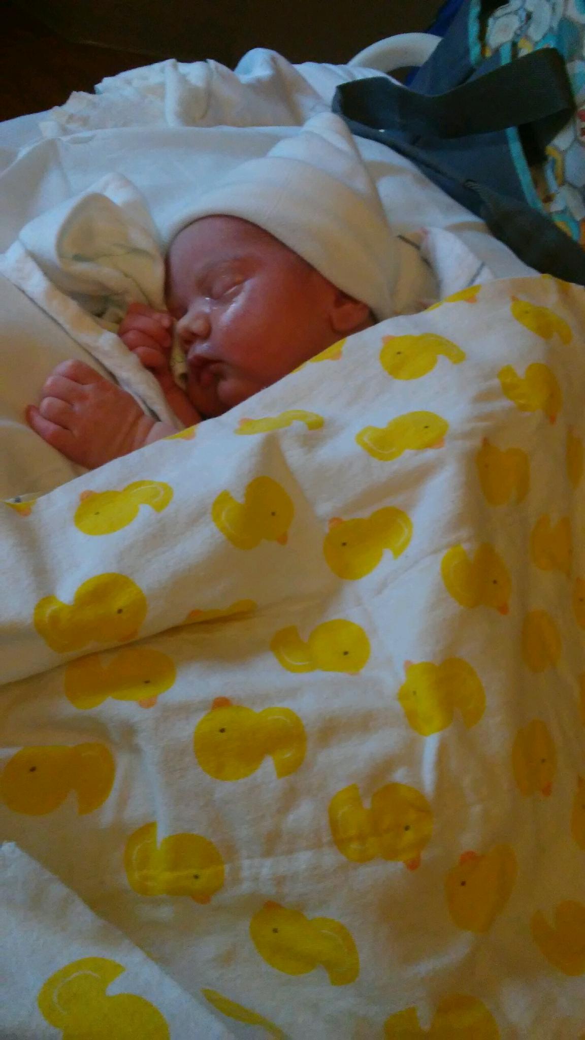 Elijah James Pandelios.jpeg