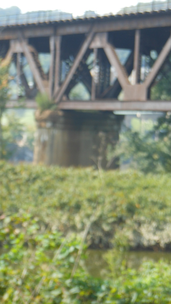 Bridge3_004_.JPG