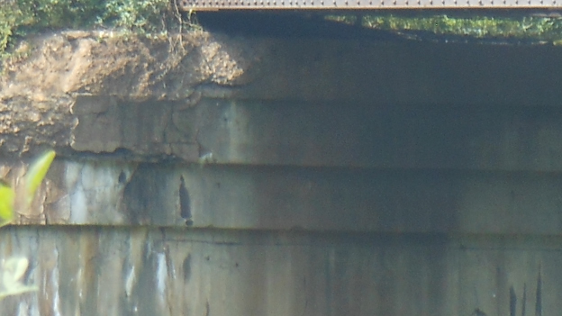 Bridge3_026_.JPG