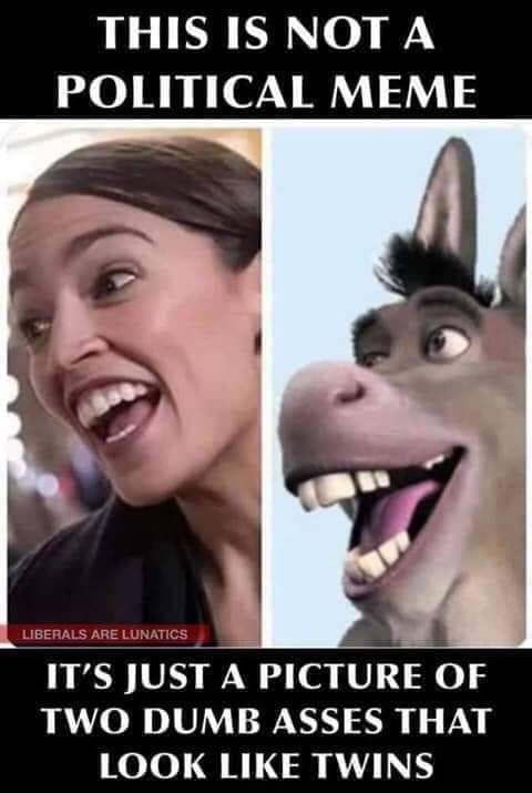 Two_Jackasses.jpg